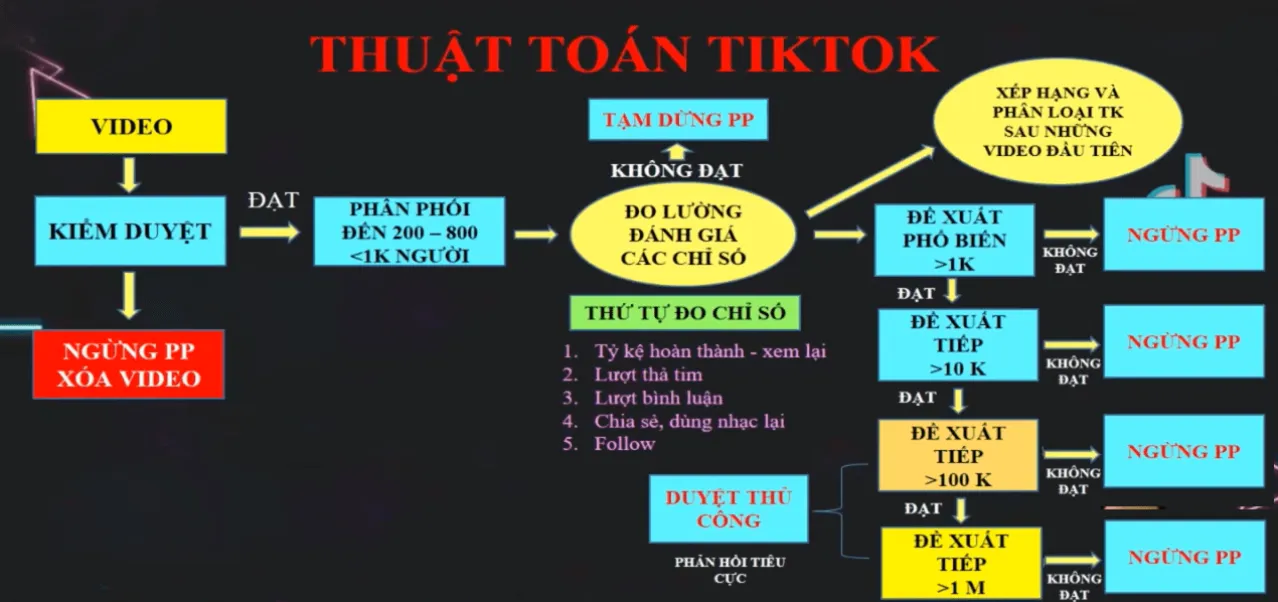 Cách xây kênh TikTok cho người mới nên biết ! 6 Cách Xây Kênh Tiktok Cho Người Mới Nên Biết !